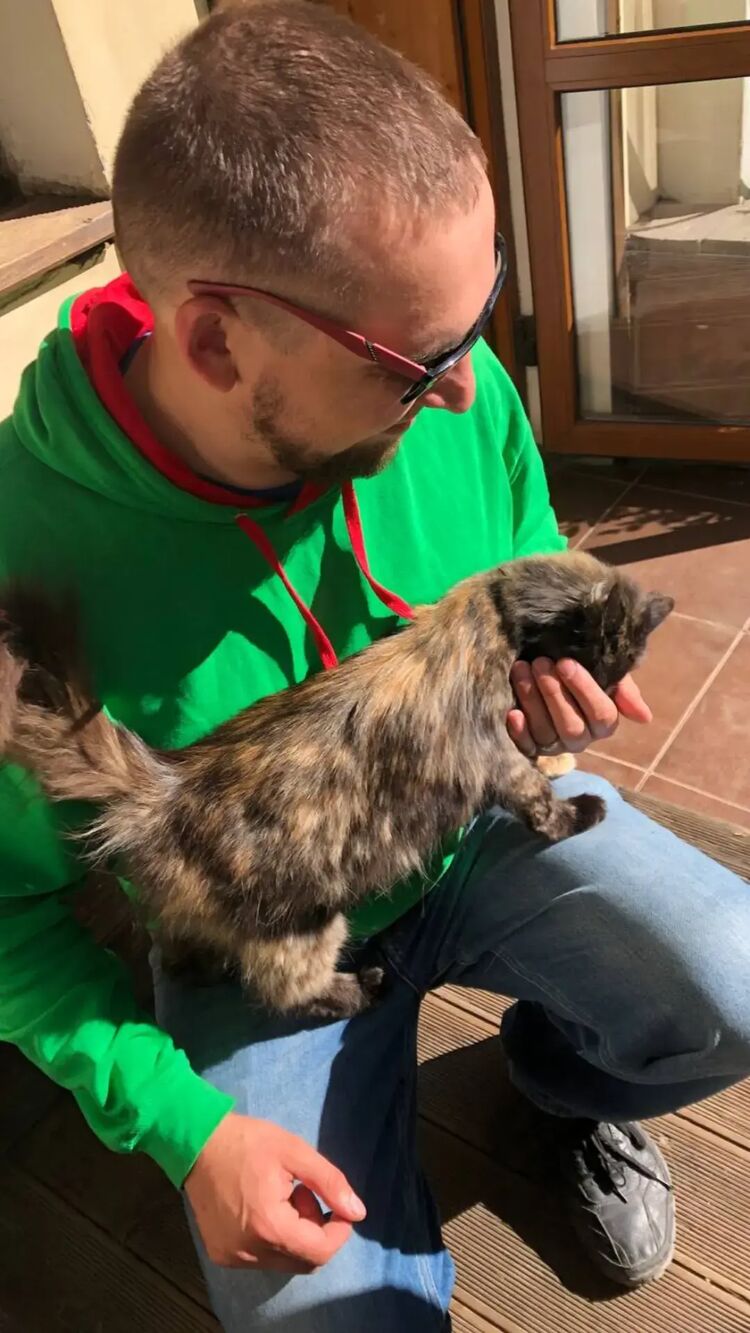 ���������� ���������, ���� ������� ����, 36 ���, ������������ ��� ������, ����� � ���������, c�������� ���������, ���������