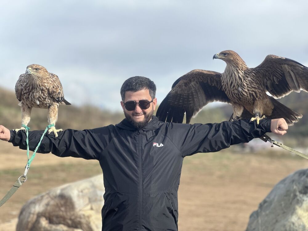 ���������� ���������, ���� ������� ����, 39 ���, ������������ ��� ������, ����� � ���������