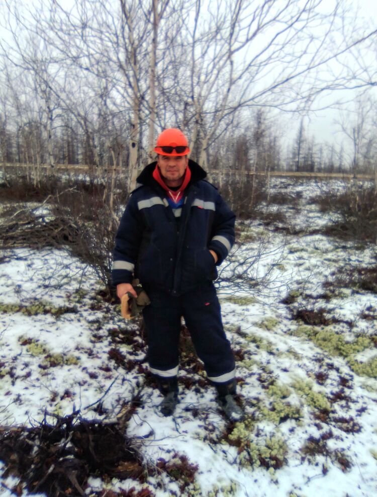 ���� 25969204 ������� ��������, 50 ���, ���� ���������� � �����