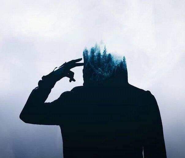 ���� 24556384 ������� ���, 40 ���, ���� ���������� � ���������