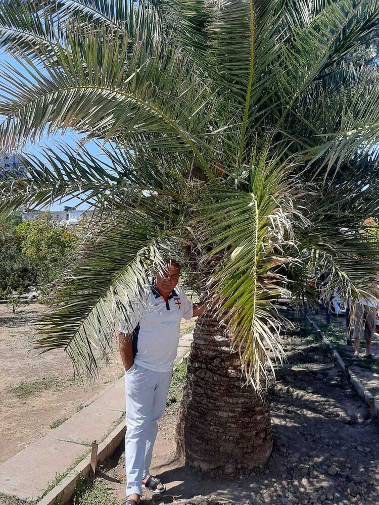  ,   , 51 ,   ,   , c 