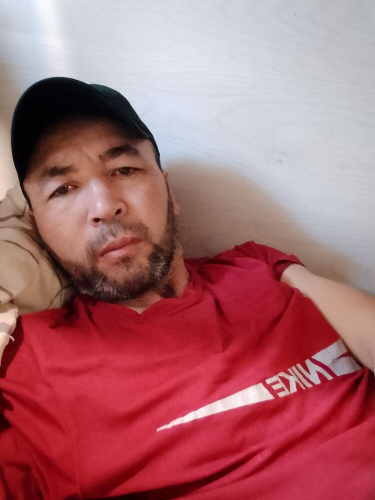  53933864  , 45 ,    -