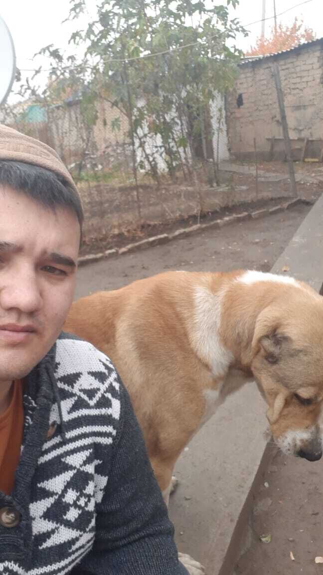 ���������� ������, ���� ������� ����, 33 ����, ������������ ��� ������, ����� � ���������