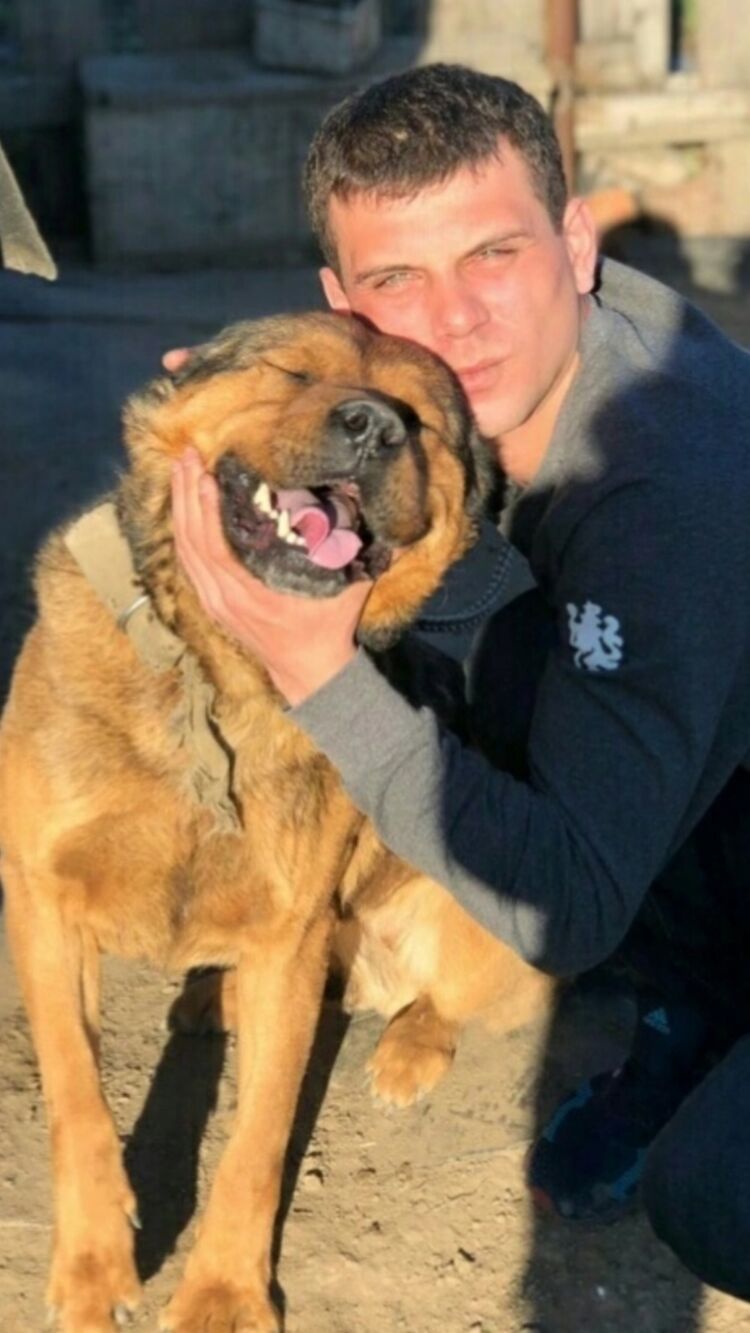 ���� 41807224 ������� �����, 35 ���, ���� ���������� � ������������