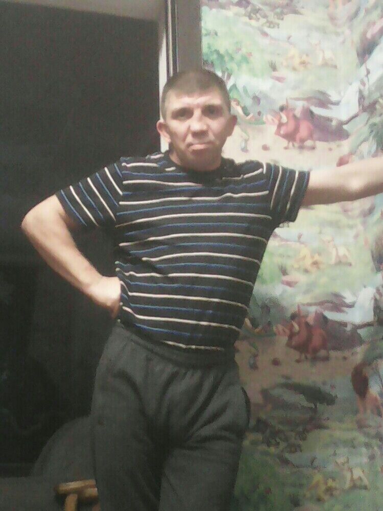  22728194  , 43 ,    