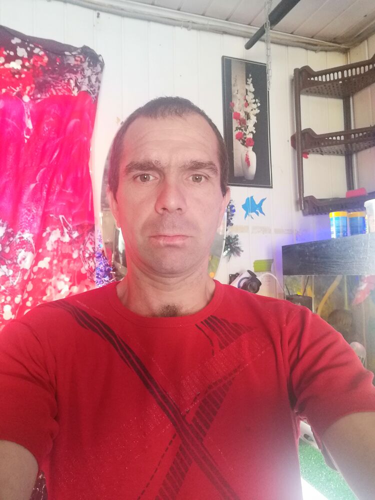 ���� 23534274 ������� �������, 43 ����, ���� ���������� � �������