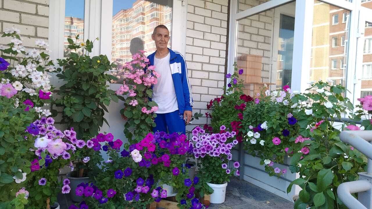  44603494  , 42 ,    