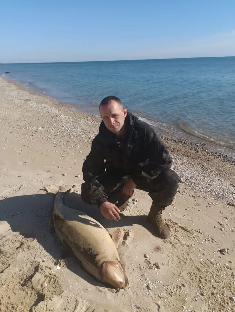 ���� 52564404 ������� �����, 35 ���, ���� ���������� � ������