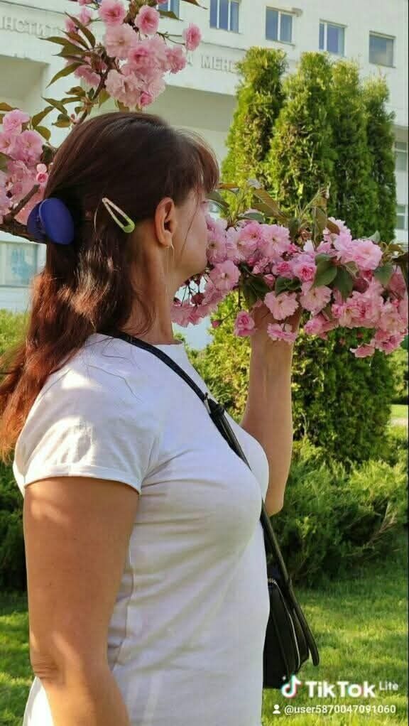 ���������� ����, ���� ������� �����, 40 ���, ������������ ��� ������, ����� � ���������, ���������