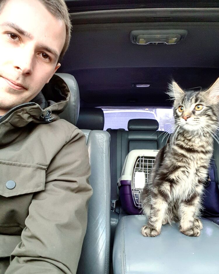 ���������� ������, ���� ������� �����, 31 ���, ������������ ��� ����� � ���������, c�������� ���������