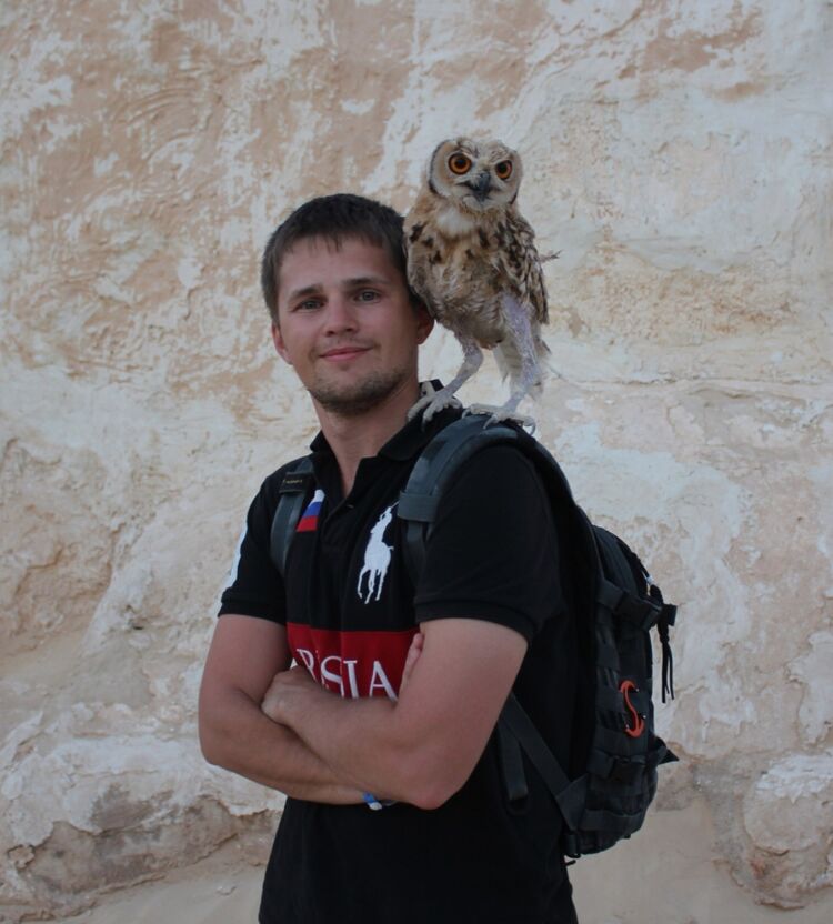 ���������� ������, ���� ������� ����, 37 ���, ������������ ��� ������, ����� � ���������, c�������� ���������, ���������