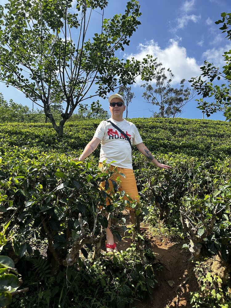 ���������� ����-���������, ���� ������� ���������, 45 ���, ������������ ��� ������, ����� � ���������, c�������� ���������, ���������