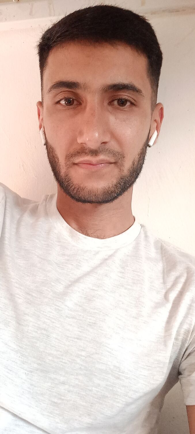  44266314  , 33 ,    -