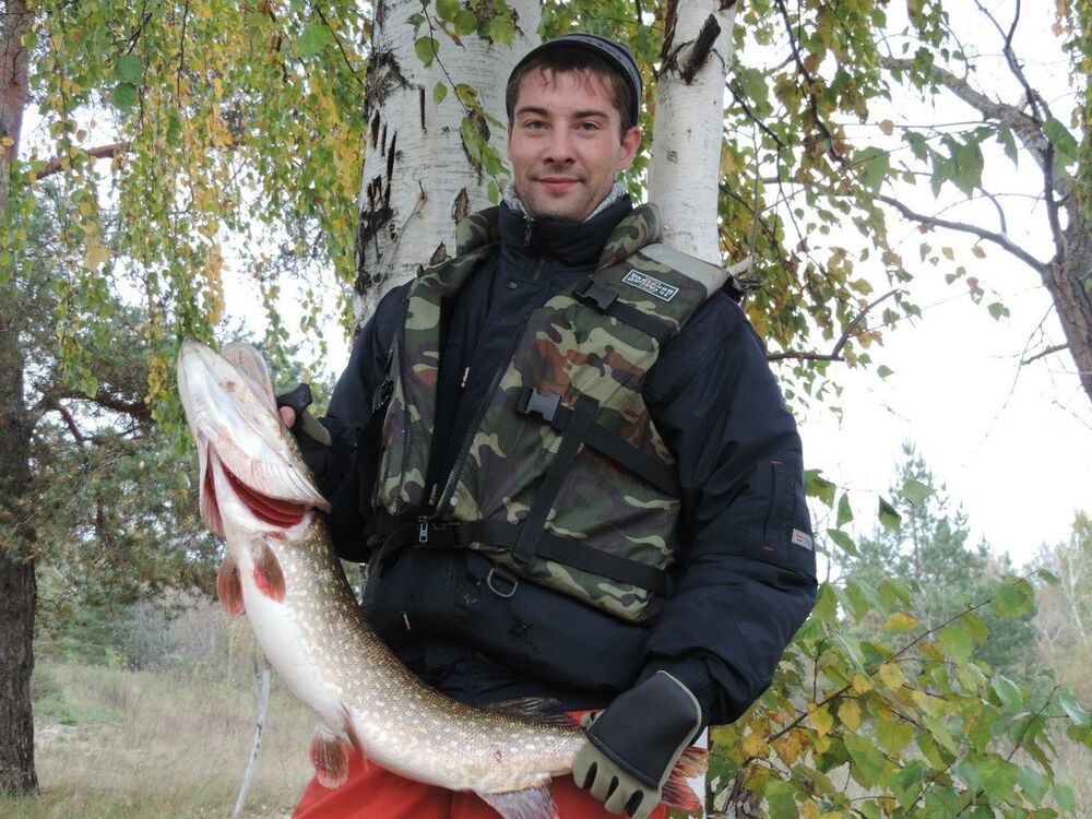   ,   Oleg, 40 ,   ,   , c 