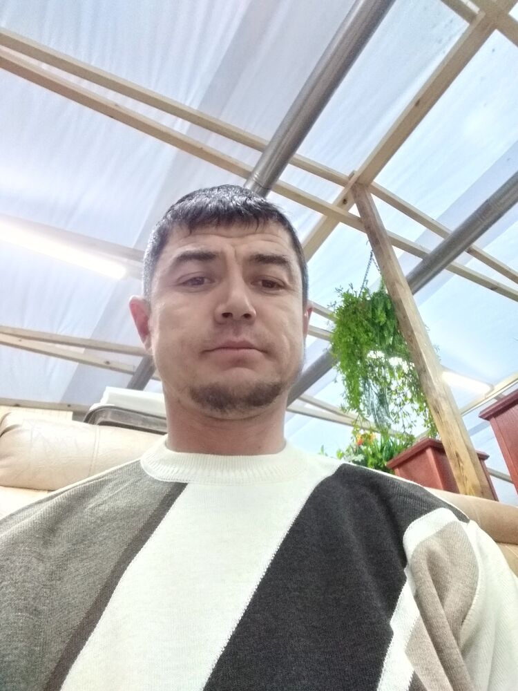  34839884  , 43 ,    
