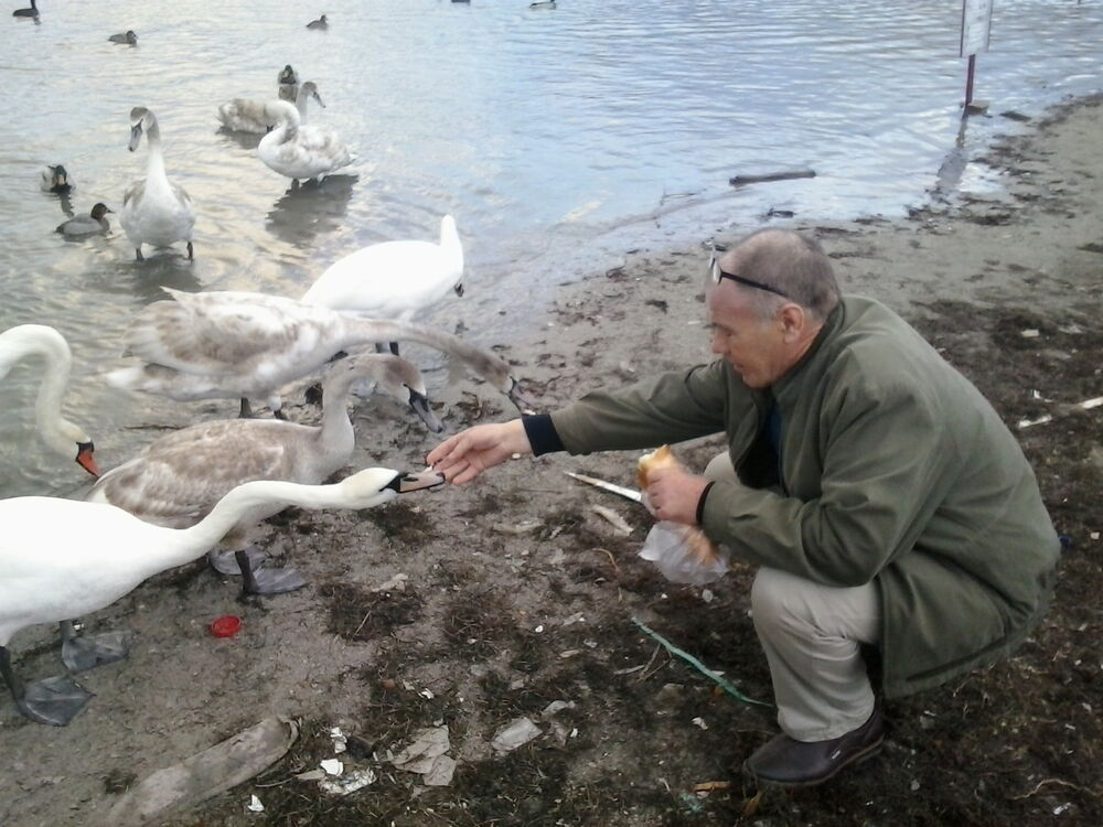  ,   , 66 ,   
