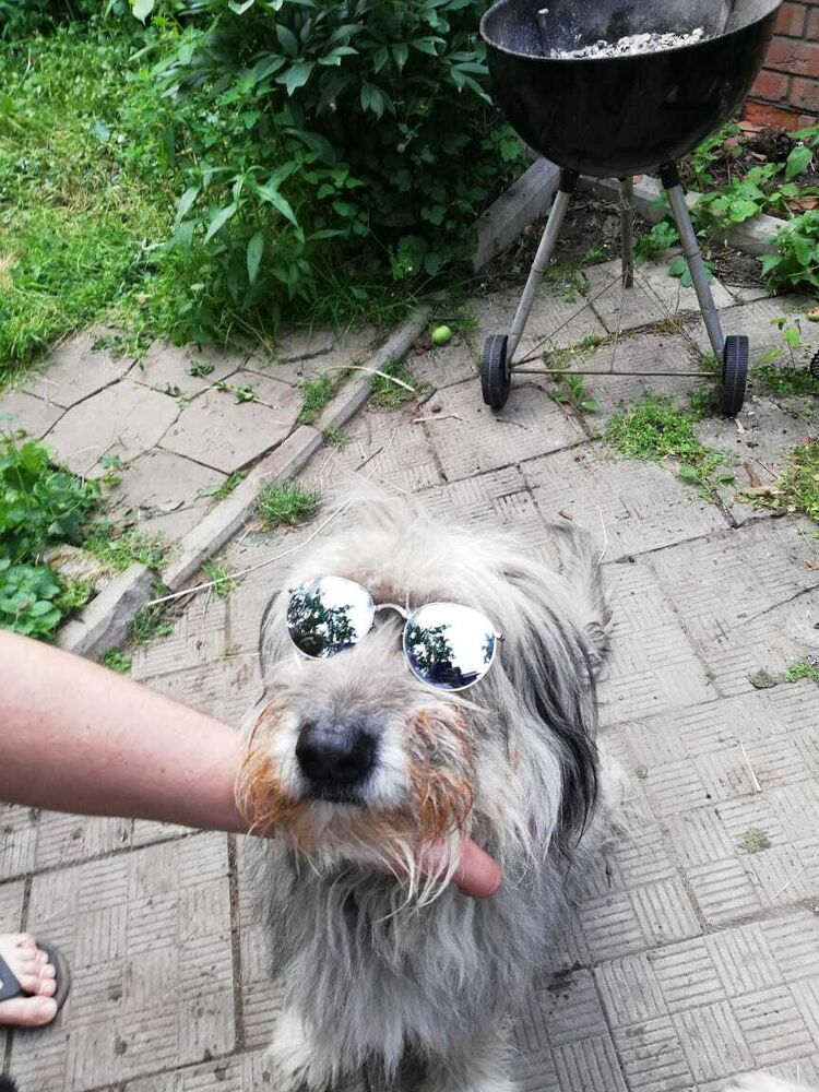 ���� 26704884 ������� �����, 39 ���, ���� ���������� � ������