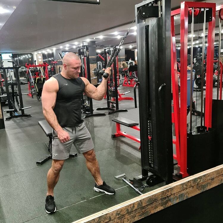 ���������� ���������, ���� ������� ���������, 44 ����, ������������ ��� ������, ����� � ���������