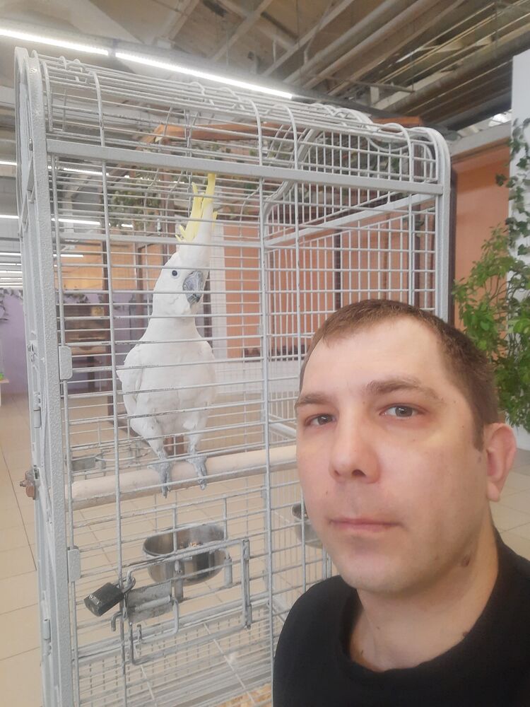  27859104  Andrey, 37 ,    