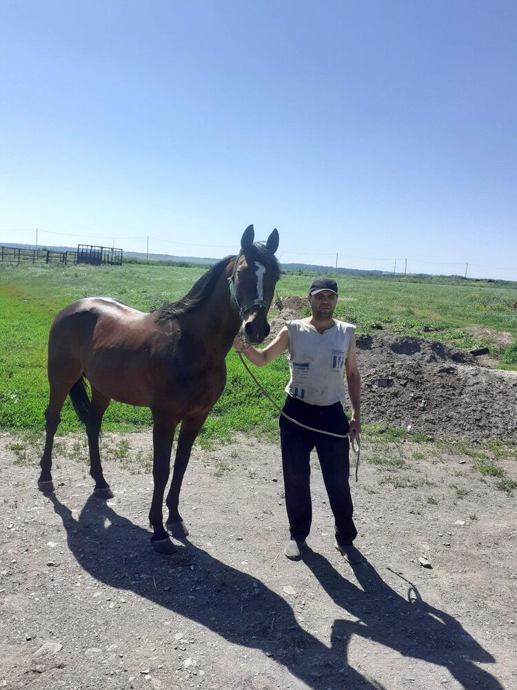  54758734  Valera, 48 ,    