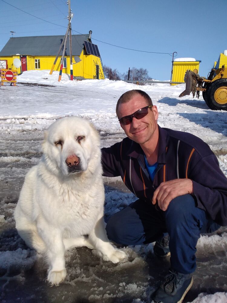 ���� 24156614 ������� ����, 43 ����, ���� ���������� � ��������������-����������