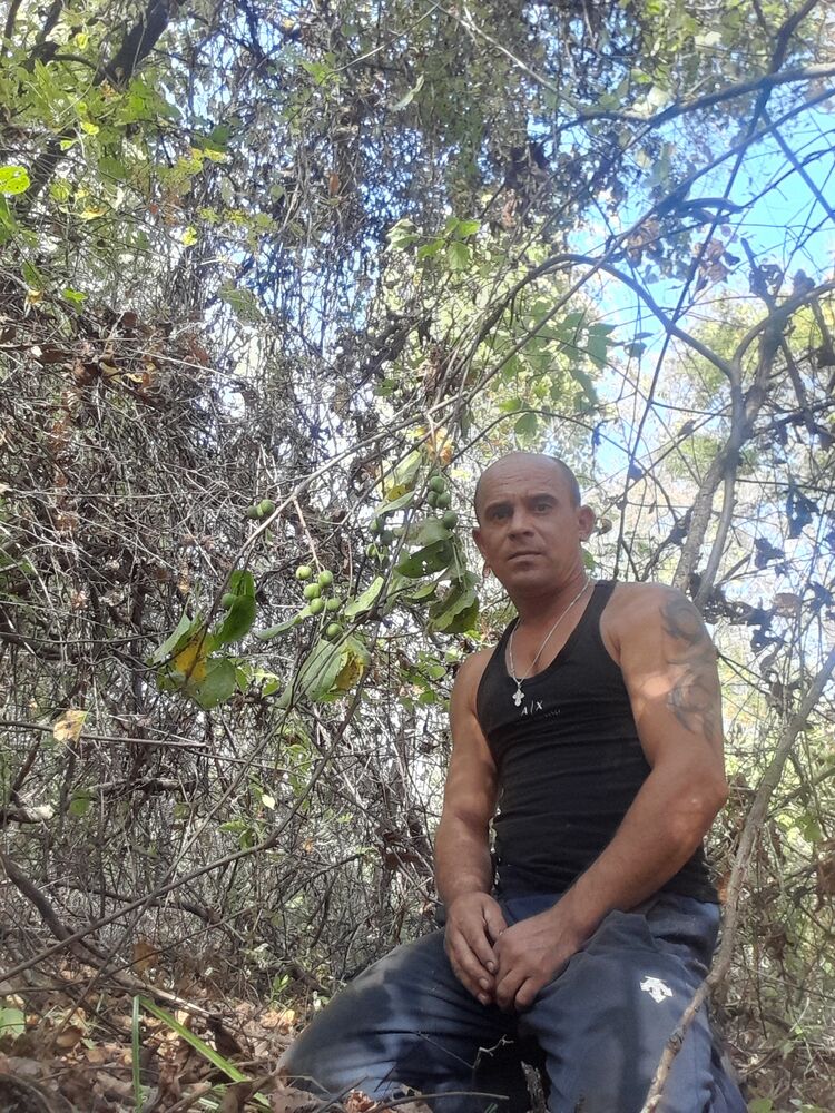  51935564  , 40 ,    -