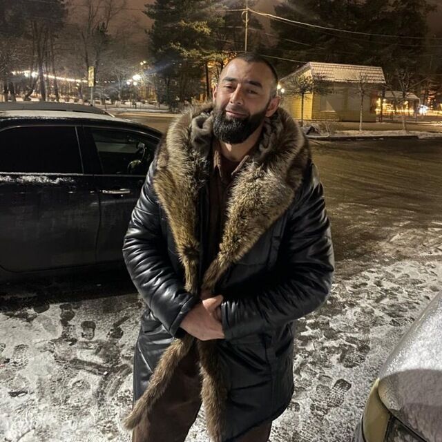 ���� 56050974 ������� Archi, 36 ���, ���� ���������� � ���������� ������