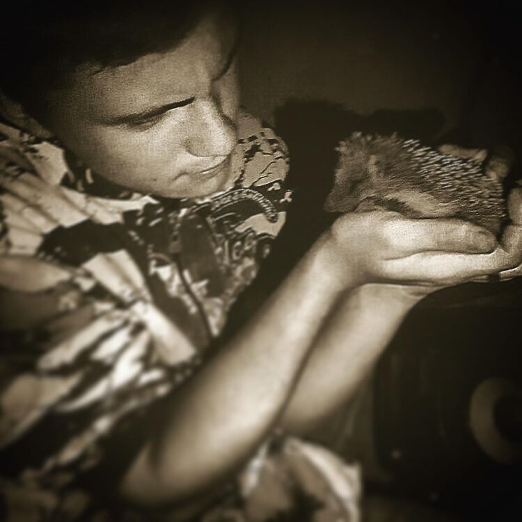 ���������� ������, ���� ������� ������, 29 ���, ������������ ��� ������, ����� � ���������, ���������