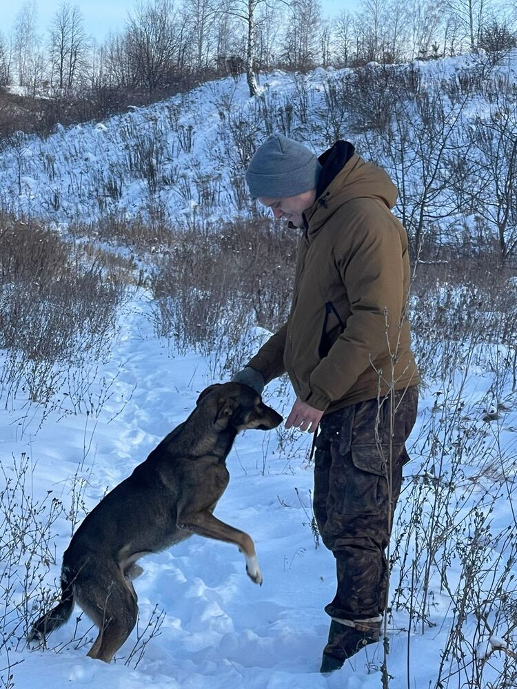 ���������� ����, ���� ������� �������, 33 ����, ������������ ��� ������