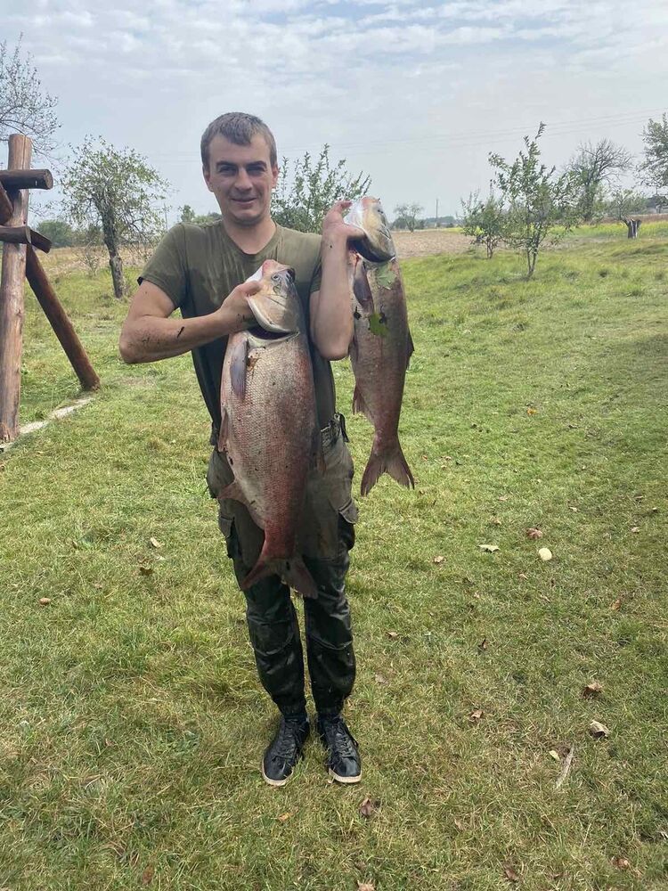 ���� 50288474 ������� ������, 27 ���, ���� ���������� � ���������