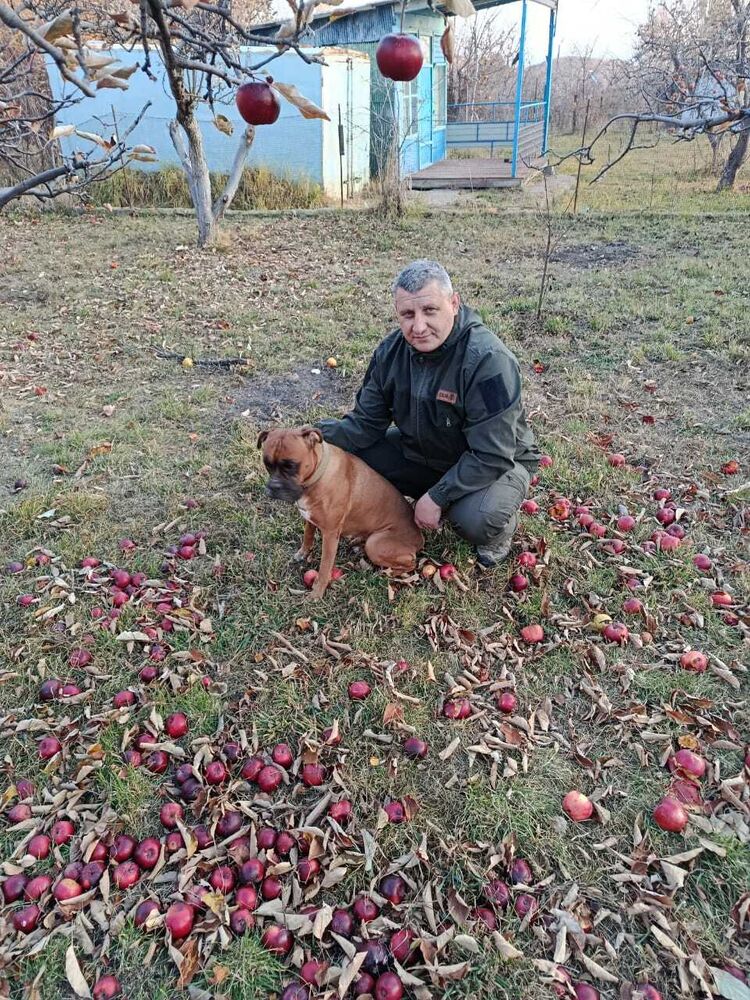 ���� 55012914 ������� ��������, 46 ���, ���� ���������� � �������