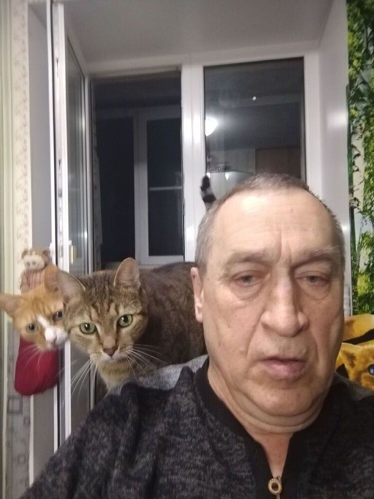   ,   , 66 ,   c 