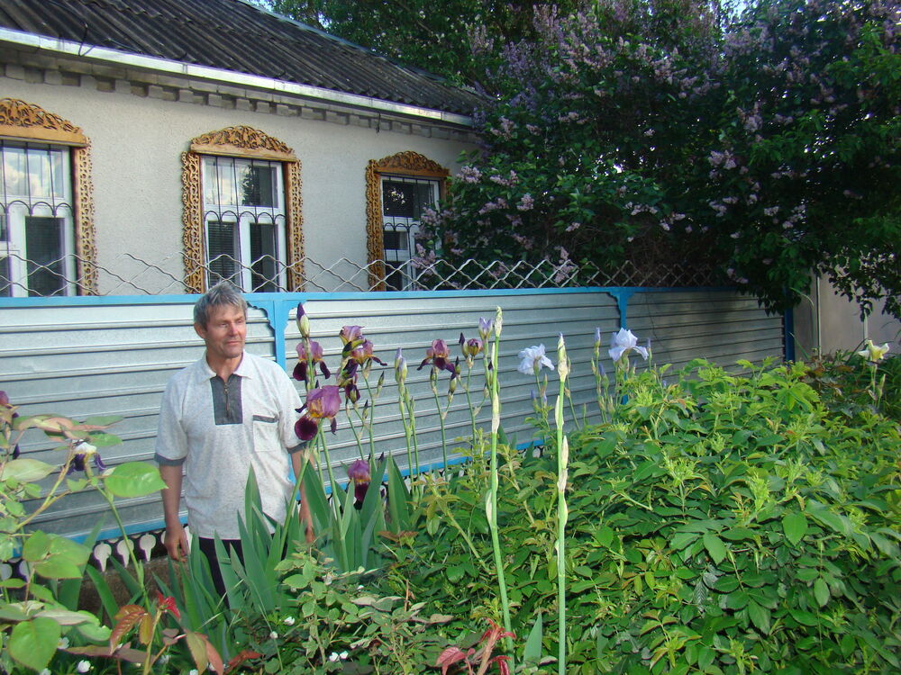  38005624  Vladimir, 68 ,    