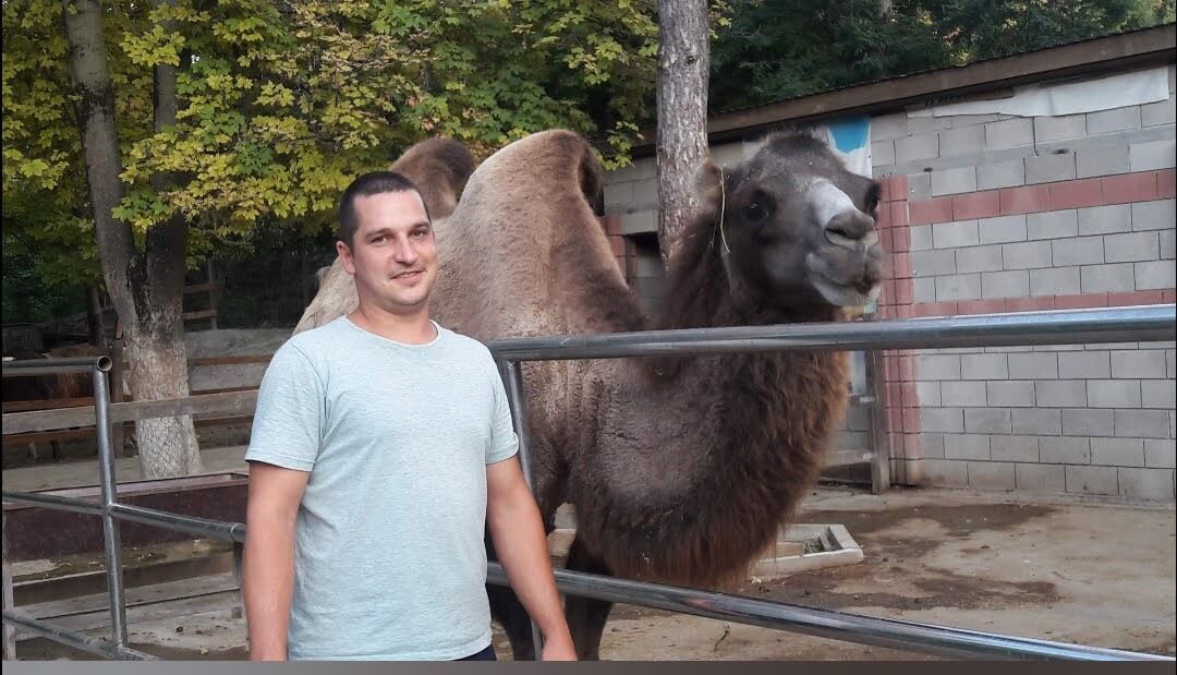 ���� 48993854 ������� ���������, 35 ���, ���� ���������� � ����������