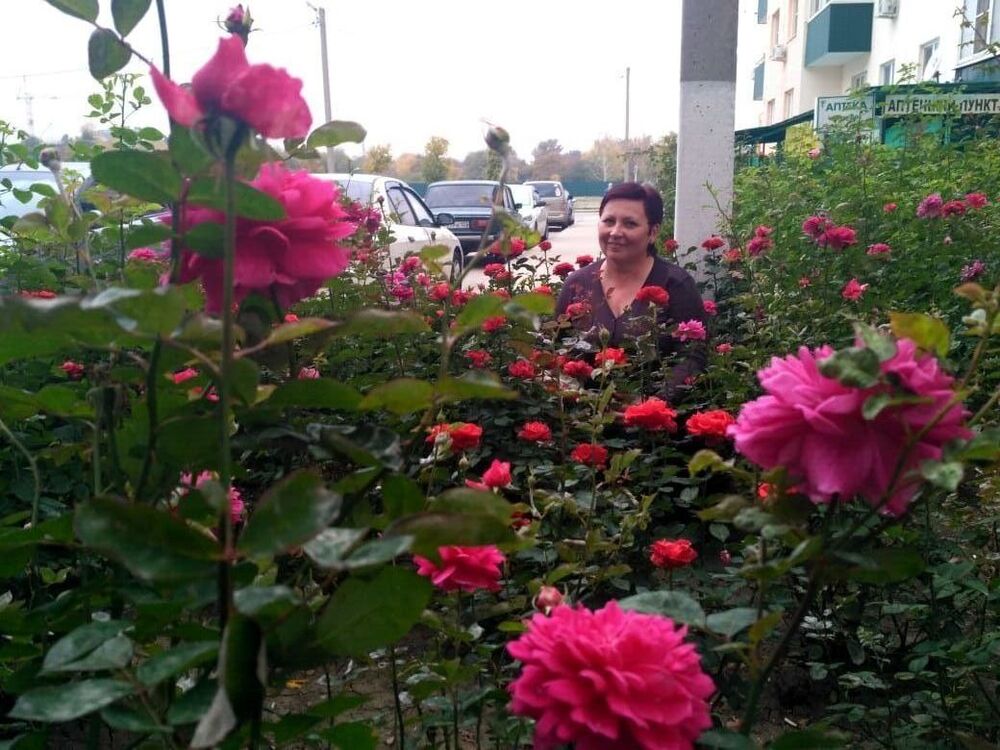 ���� 28770664 ������� �������, 58 ���, ���� ���������� � ����������