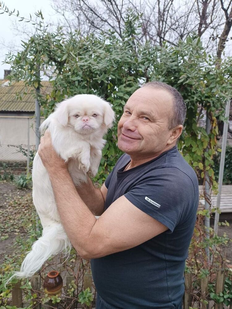 ���� 56064544 ������� ��������, 66 ���, ���� ���������� � ���������