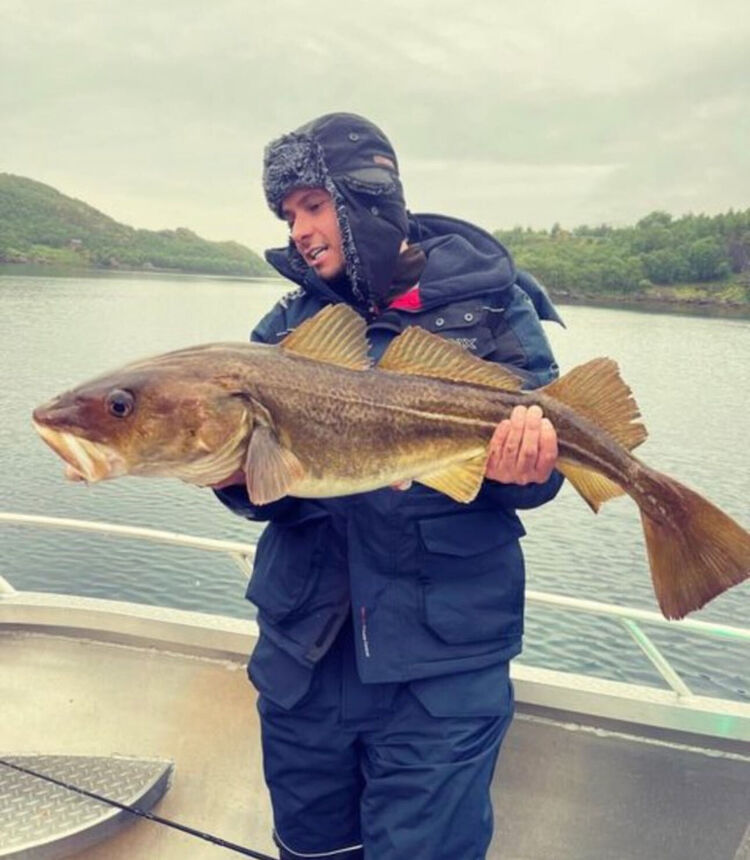  40665334  , 33 ,    -