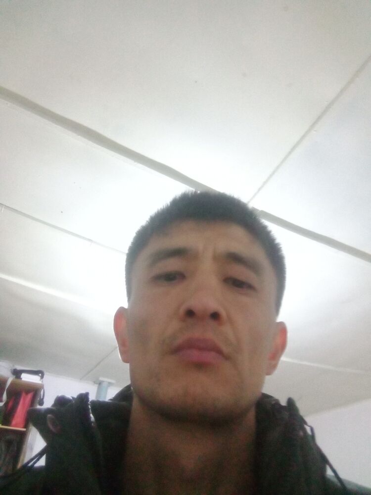  46206544  , 30 ,    