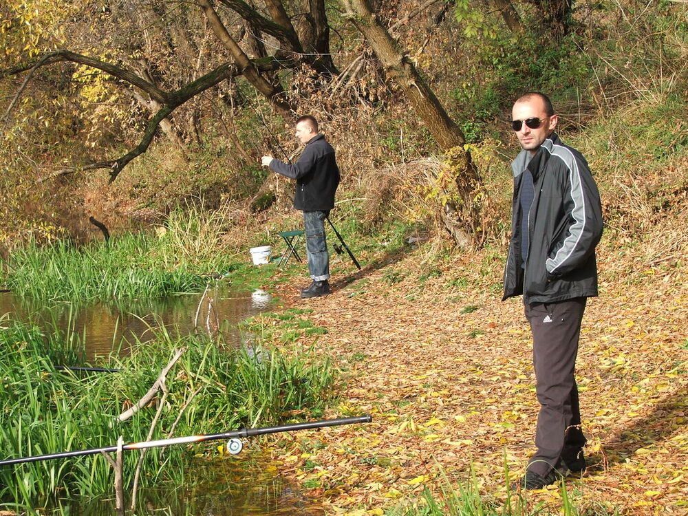  6931574  Veter, 46 ,    