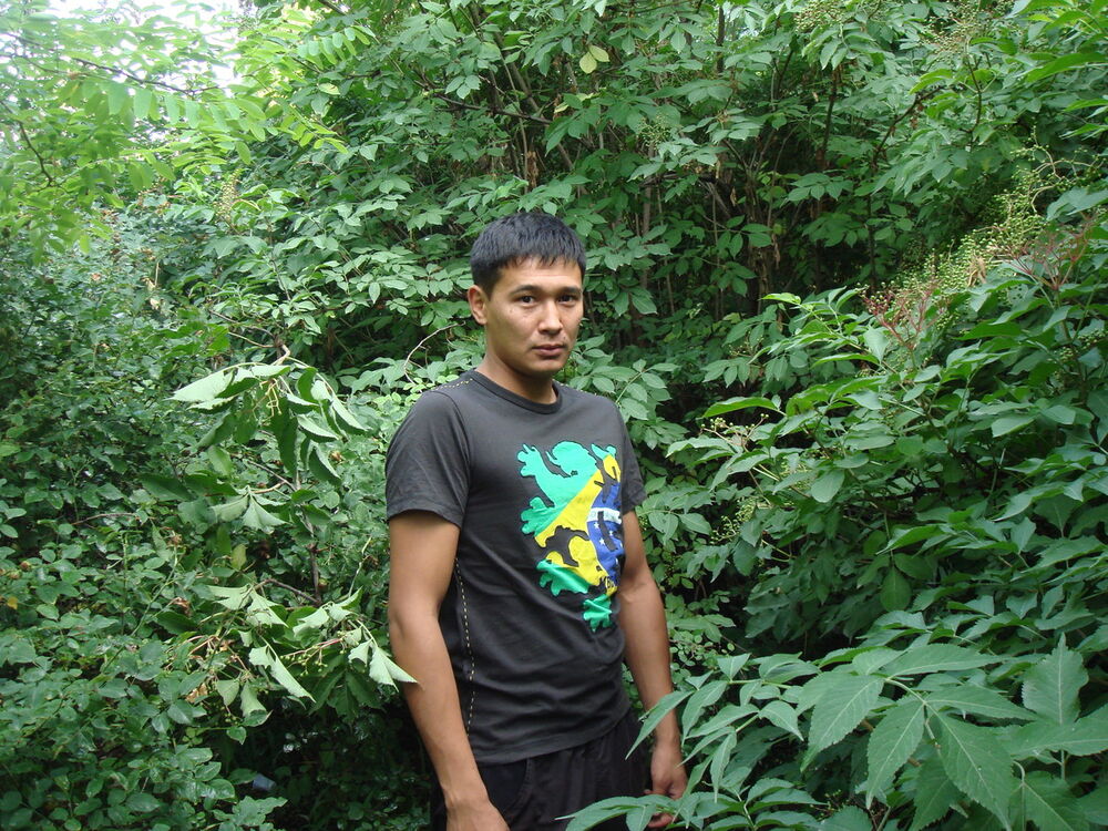 ���������� �����, ���� ������� �����, 43 ����, ������������ ��� ����� � ���������, c�������� ���������