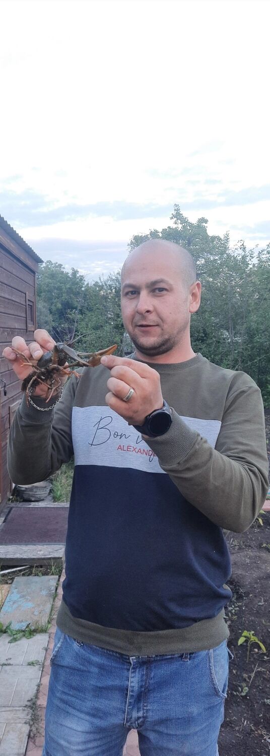 ���� 39661054 ������� ������, 36 ���, ���� ���������� � ����������