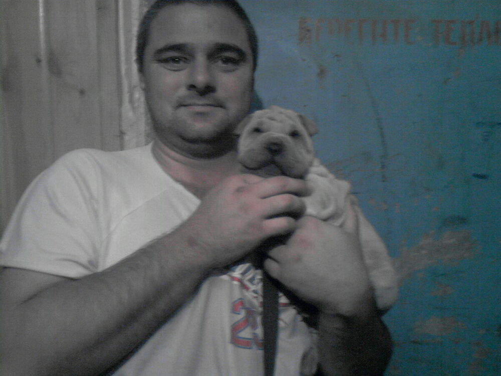 ���� 20706244 ������� ������, 50 ���, ���� ���������� � ������