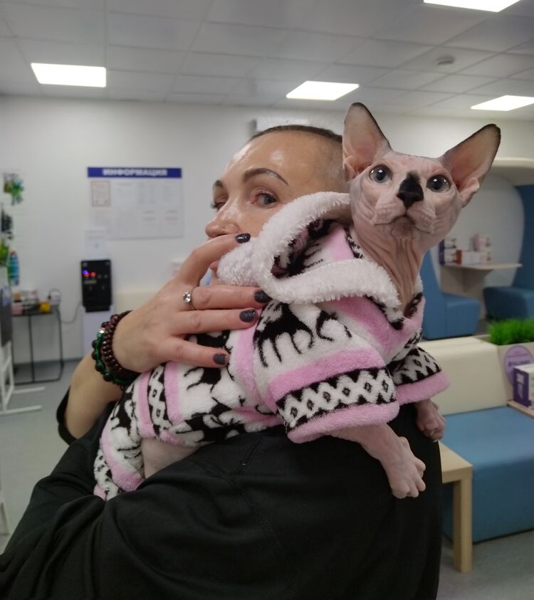 ���������� ������, ���� ������� ����, 53 ����, ������������ ��� c�������� ���������