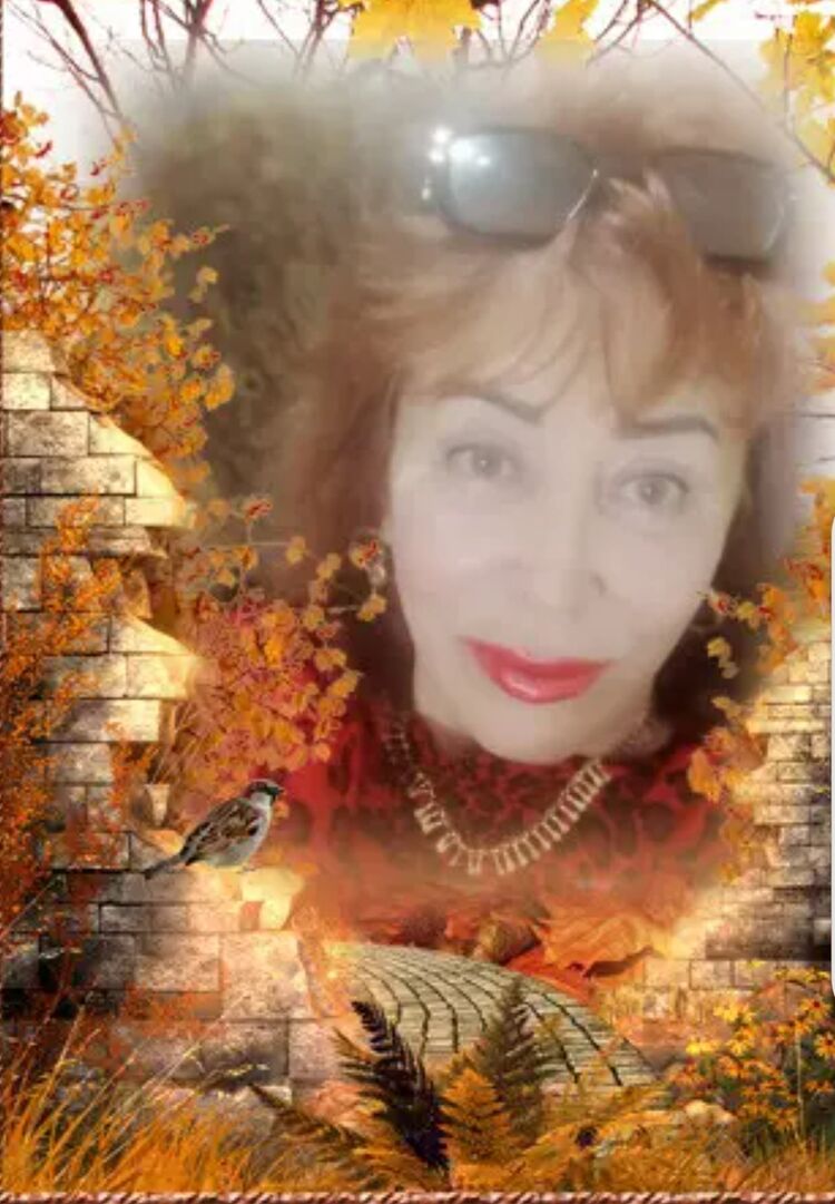 ���� 55159154 ������� ����, 54 ����, ���� ���������� � ��������