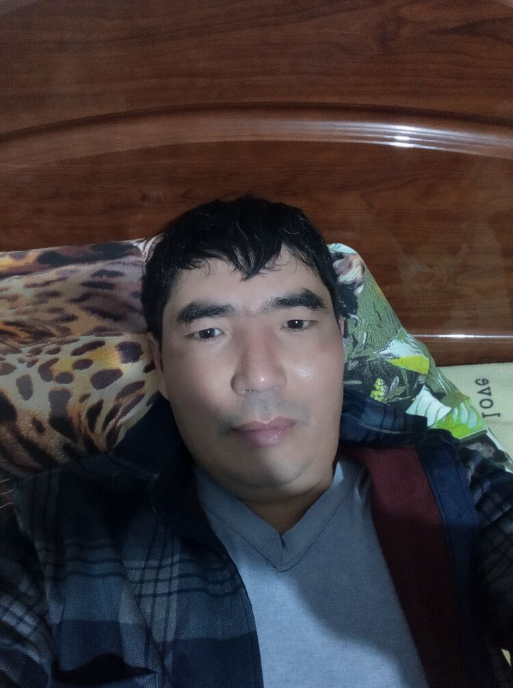  47717044  , 41 ,    