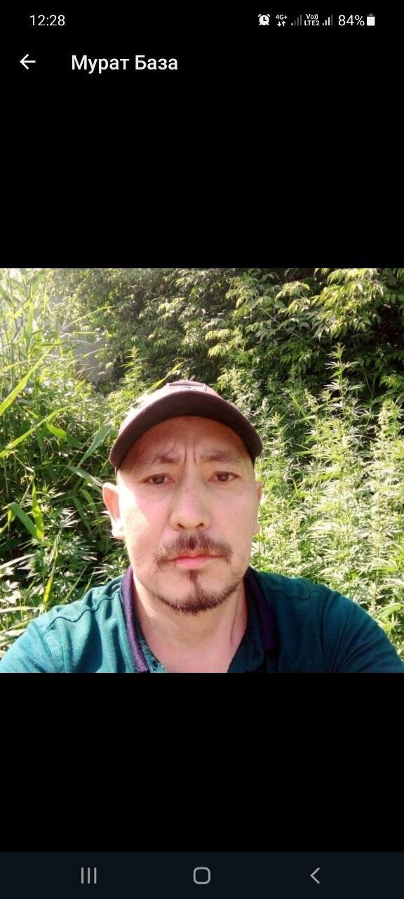 ���� 24354684 ������� ������, 30 ���, ���� ���������� � ������