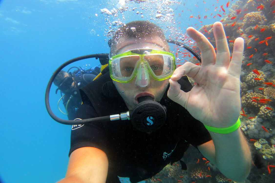 ���������� �����, ���� ������� ����, 43 ����, ������������ ��� ������, ����� � ���������, c�������� ���������