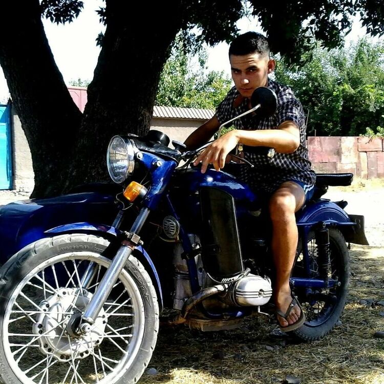  50673914  , 31 ,    