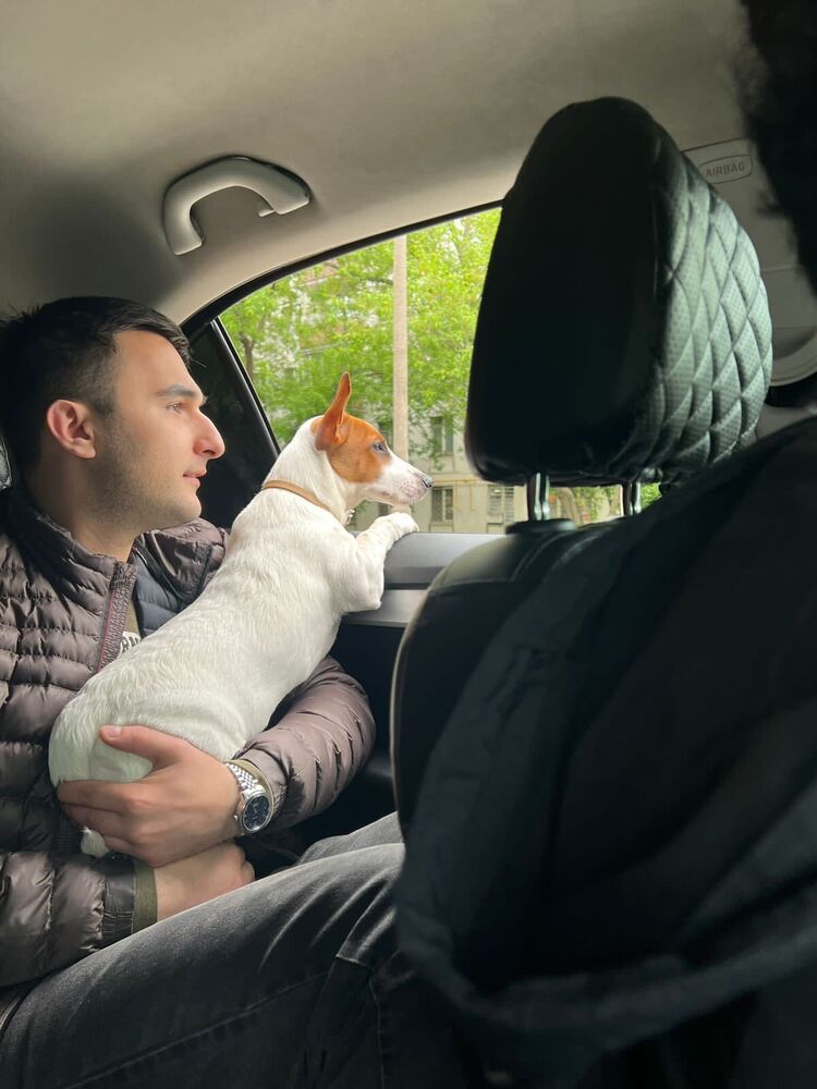 ���� 35408954 ������� ����, 32 ����, ���� ���������� � ������