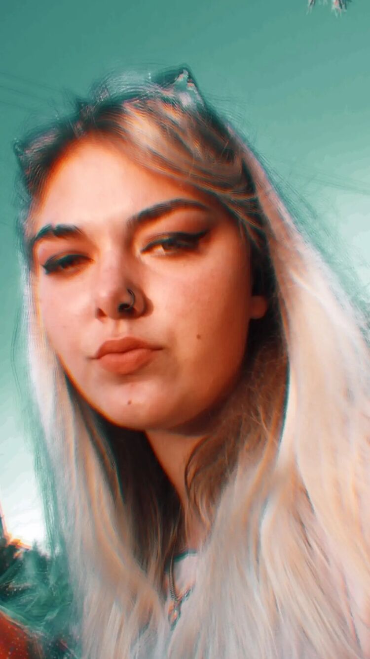  24065814  , 22 ,    